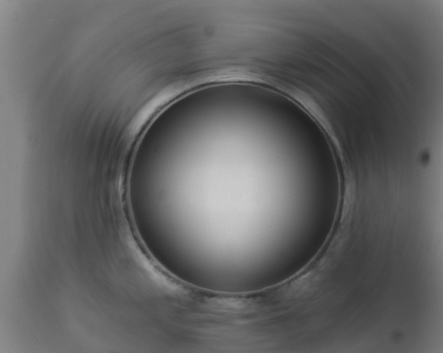 X0000112891197200908281653