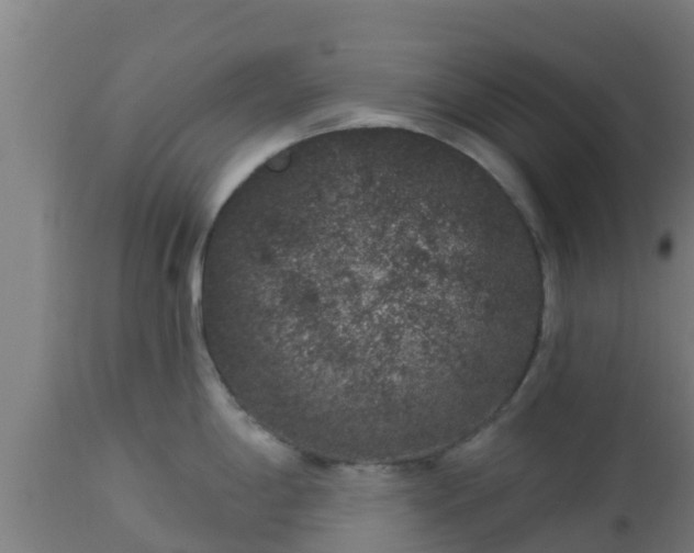 X0000112891198200908281653