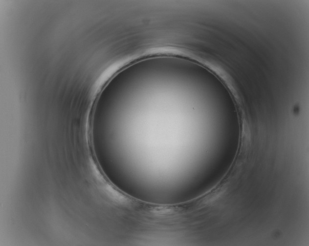 X0000112891199200908281653