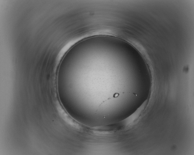 X0000112891200200908281653