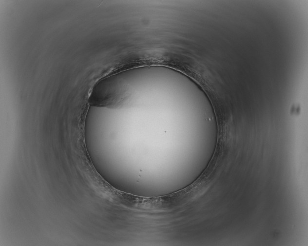X0000112891201200908281652