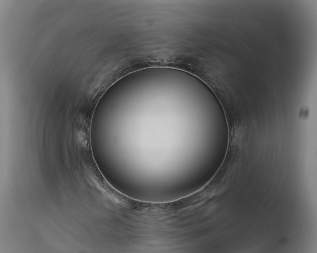 X0000112891202200908281652