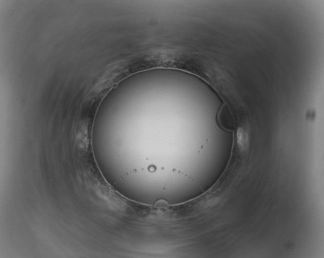 X0000112891203200908281652