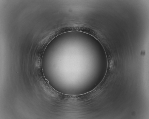 X0000112891204200908281652