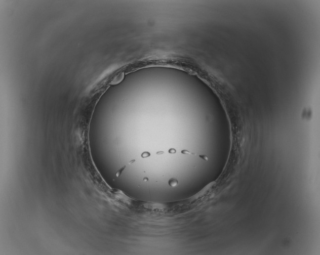 X0000112891206200908281652