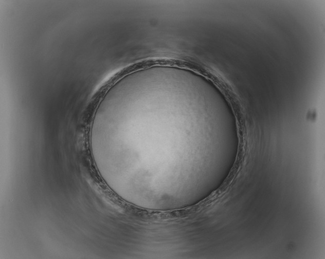 X0000112891208200908281652