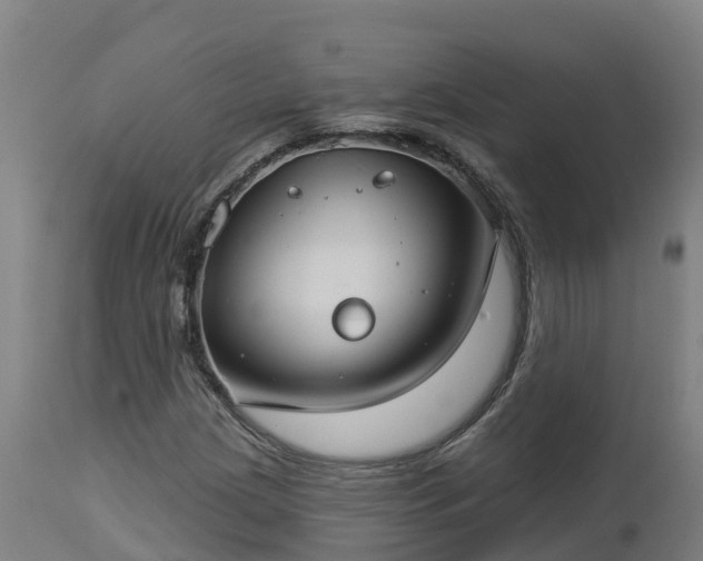 X0000112891209200908281652