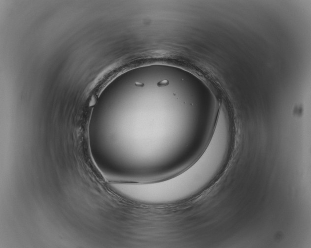 X0000112891210200908281652