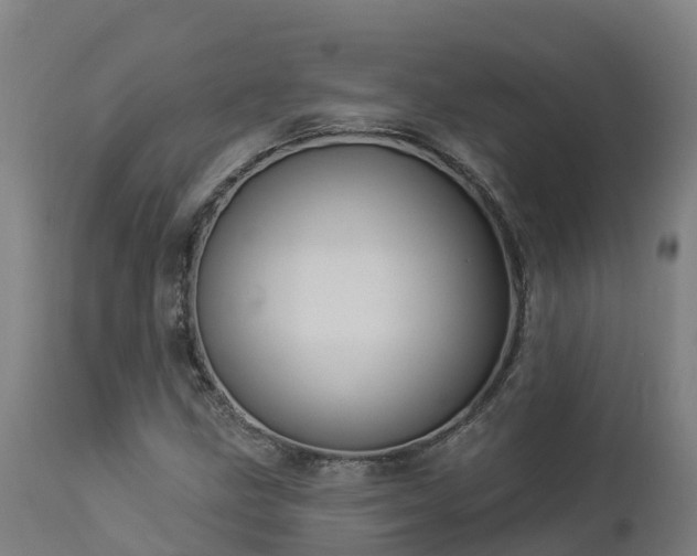 X0000112891211200908281652