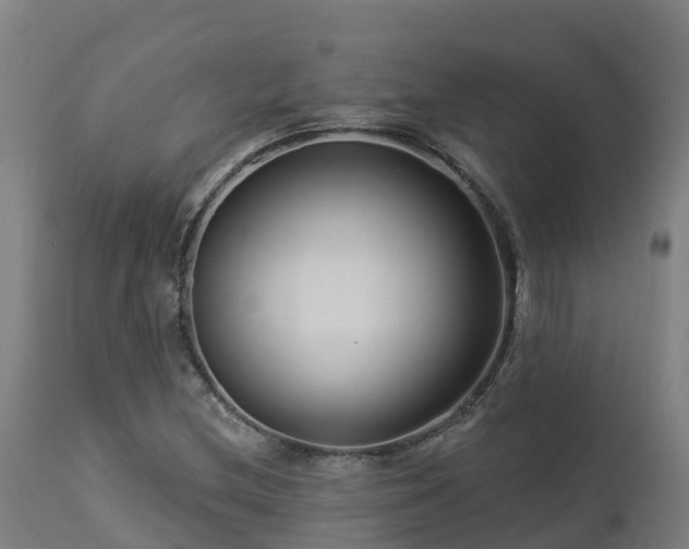 X0000112891212200908281652