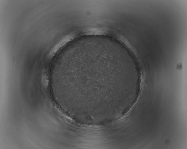 X0000112891213200908281652
