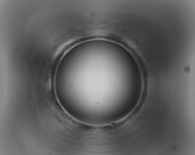 X0000112891214200908281652