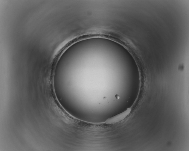 X0000112891216200908281652