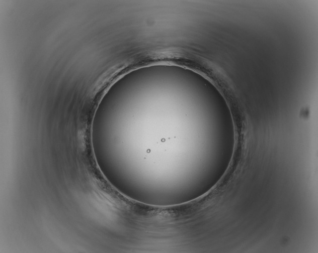 X0000112891217200908281652