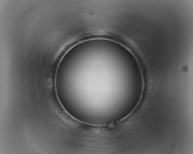 X0000112891218200908281652