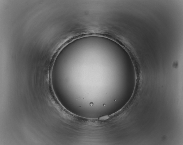 X0000112891220200908281652