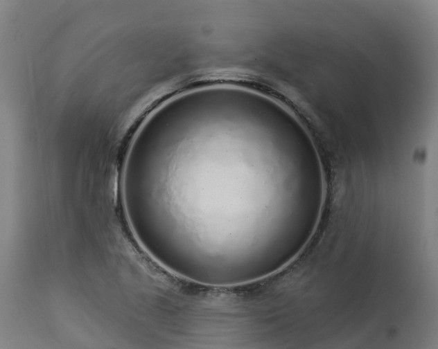 X0000112891221200908281652