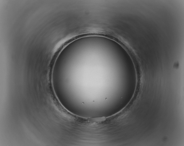 X0000112891222200908281653