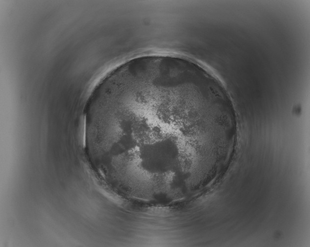 X0000112891223200908281653