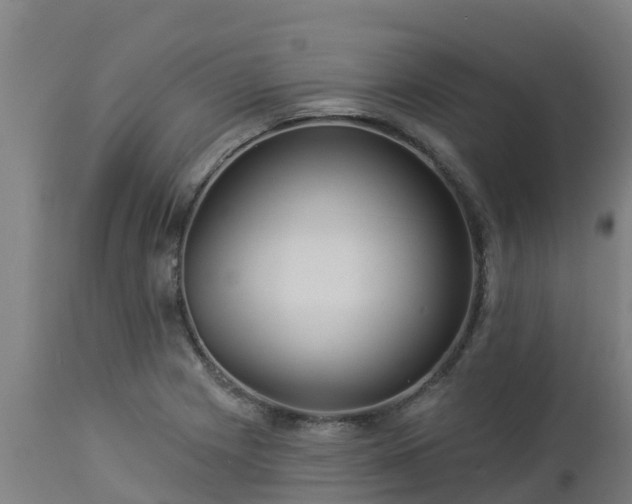 X0000112891225200908281653