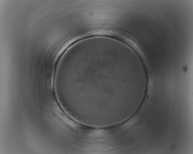 X0000112891228200908281653