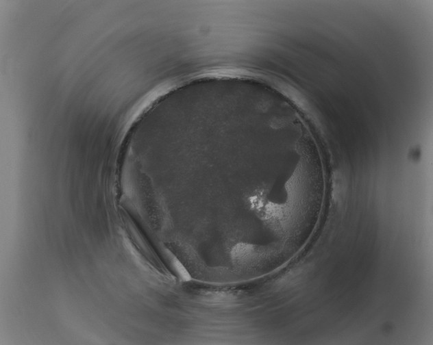 X0000112891229200908281653