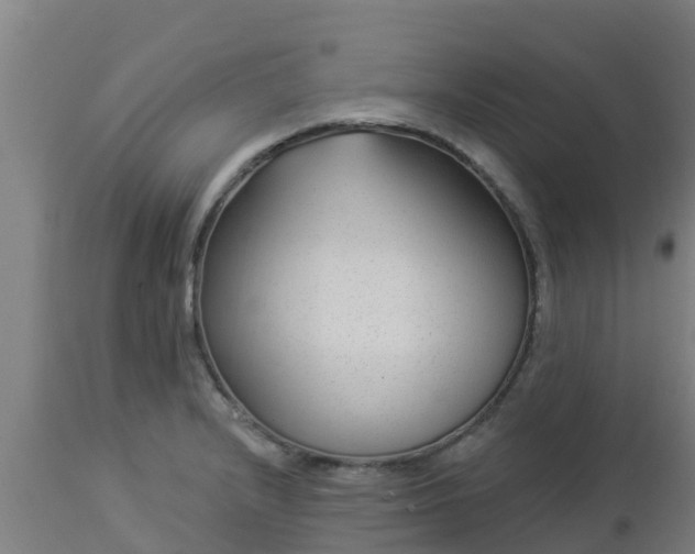 X0000112891232200908281653