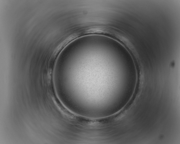 X0000112891233200908281653