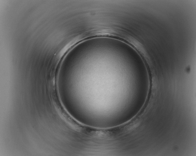 X0000112891234200908281653