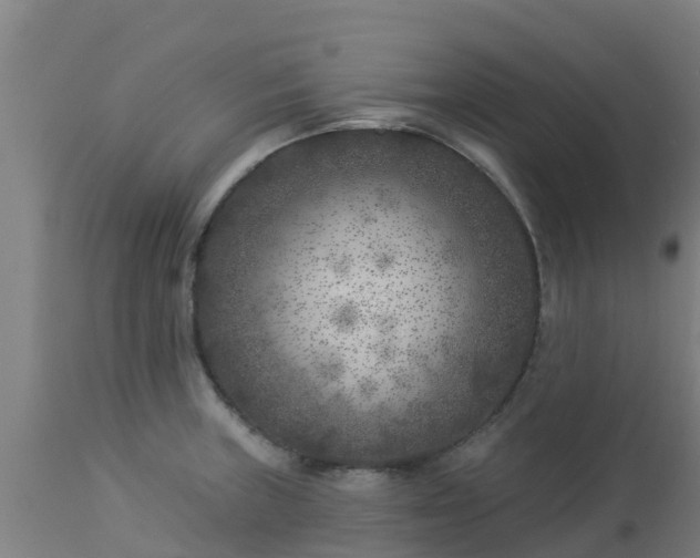 X0000112891235200908281653