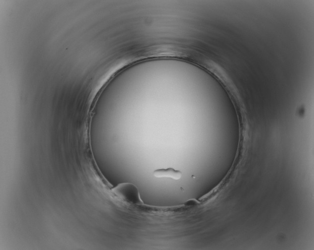 X0000112891236200908281653