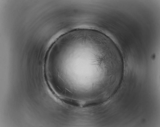 X0000112891237200908281653