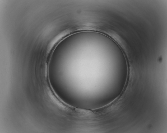 X0000112891238200908281653
