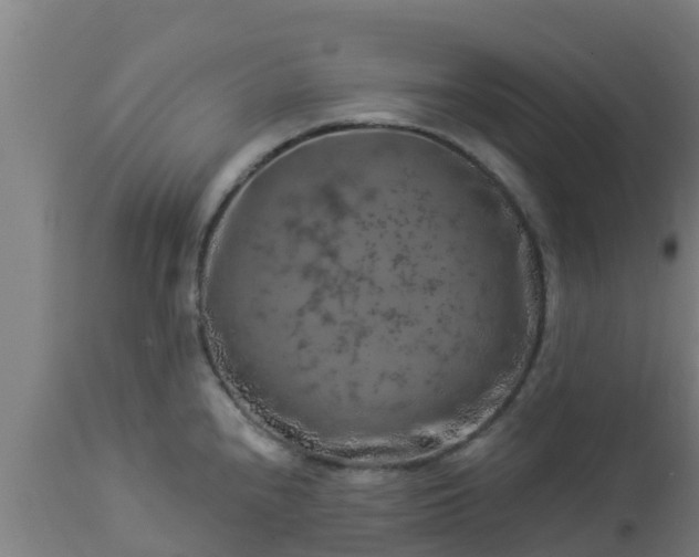 X0000112891240200908281653
