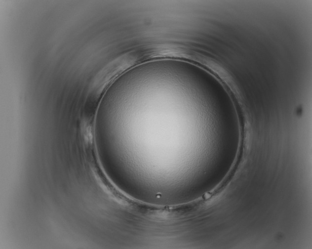 X0000112891241200908281653