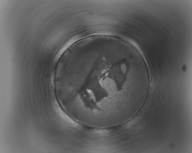 X0000112891243200908281653