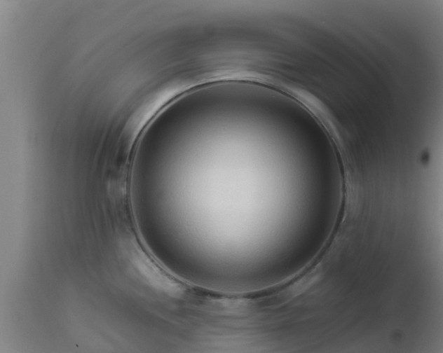 X0000112891244200908281653