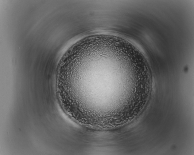 X0000112891247200908281653