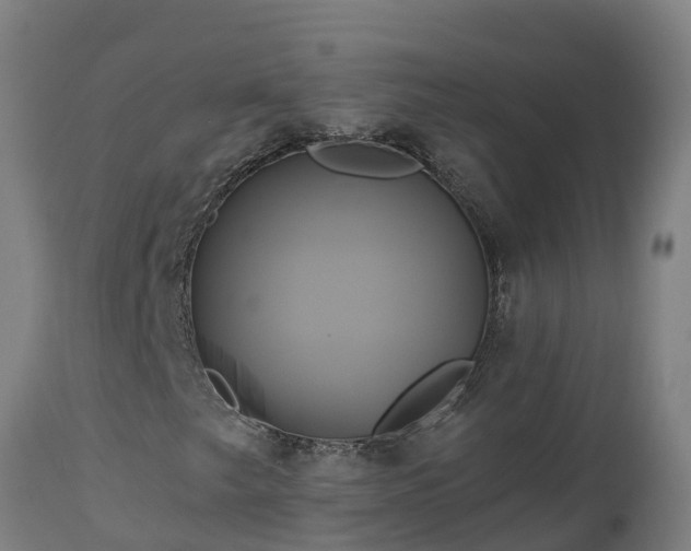 X0000112891249200908281652