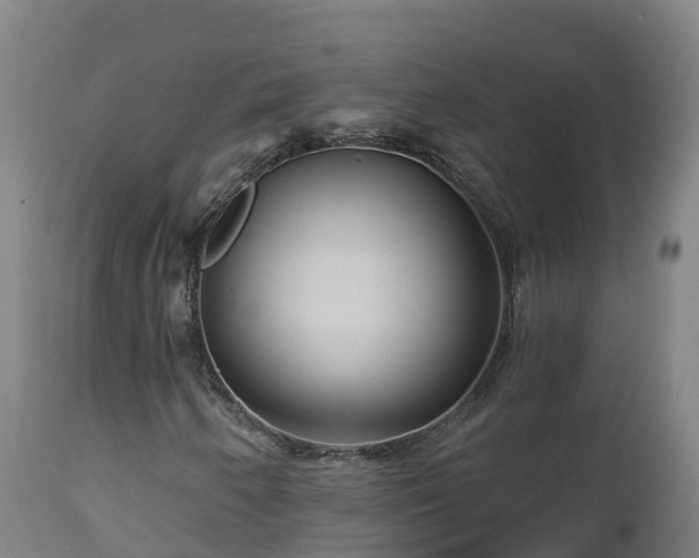 X0000112891250200908281652