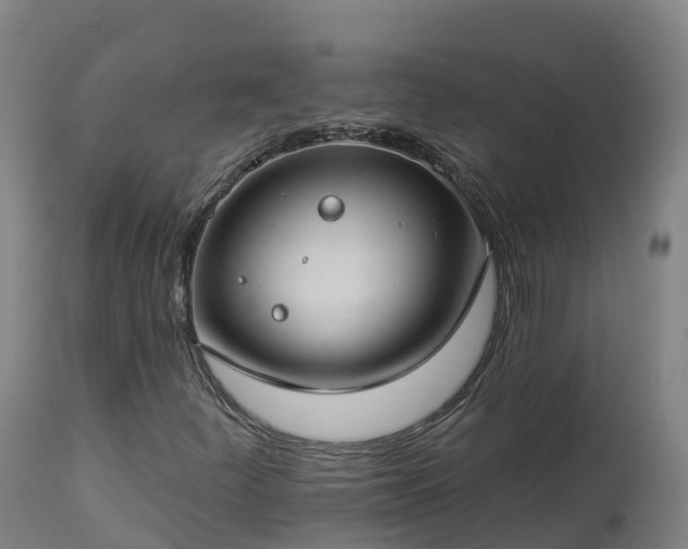 X0000112891252200908281652