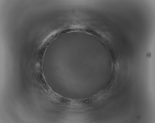 X0000112891254200908281652