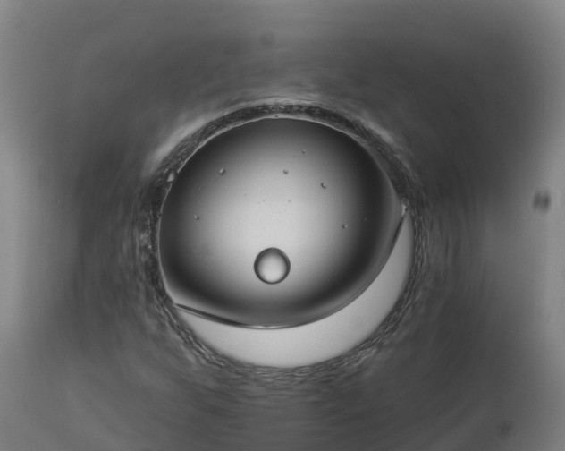 X0000112891255200908281652