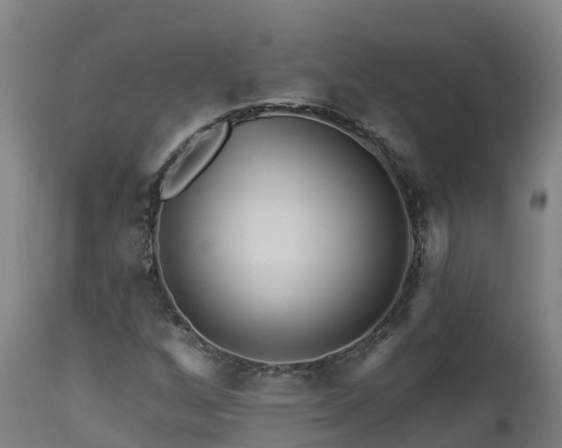 X0000112891256200908281652