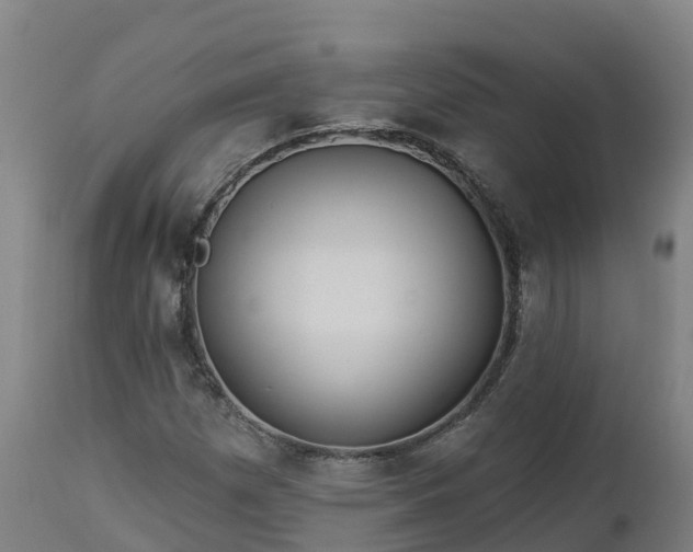 X0000112891257200908281652