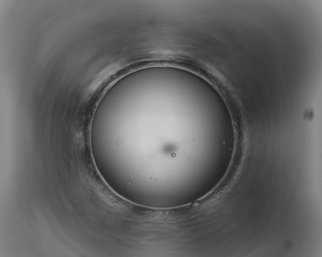 X0000112891259200908281652