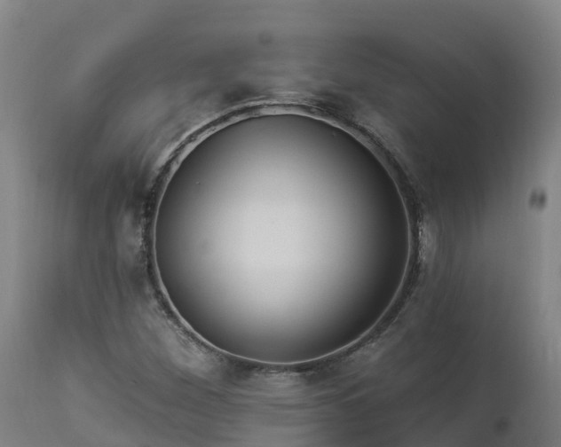 X0000112891260200908281652