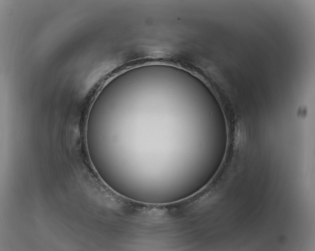 X0000112891261200908281652