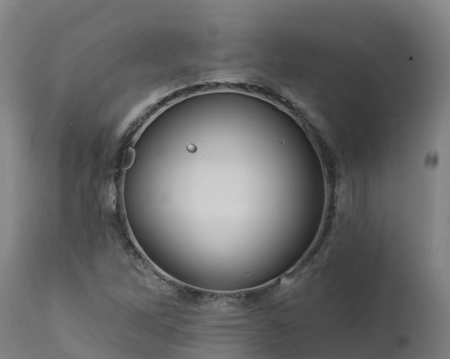 X0000112891262200908281652