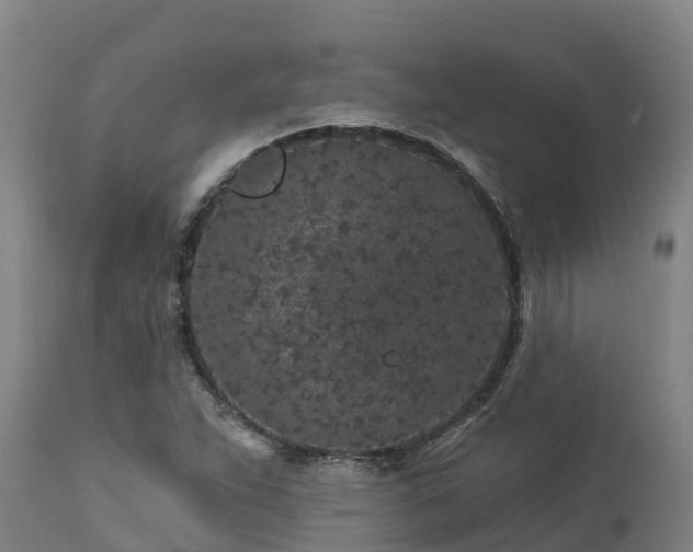 X0000112891263200908281652